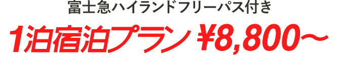 富士急ハイランドフリーパス付き1泊宿泊プラン¥8,800〜